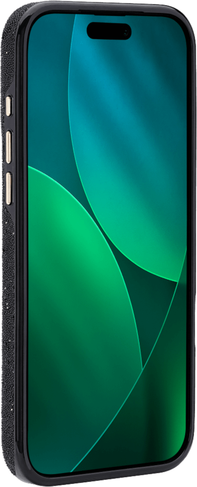 <p>The kate spade new york Crystal Pavé Case is a stylish phone case featuring a black crystal pavé inlay with gold hardware, provides 12-foot drop protection and offers MagSafe compatibility.</p>