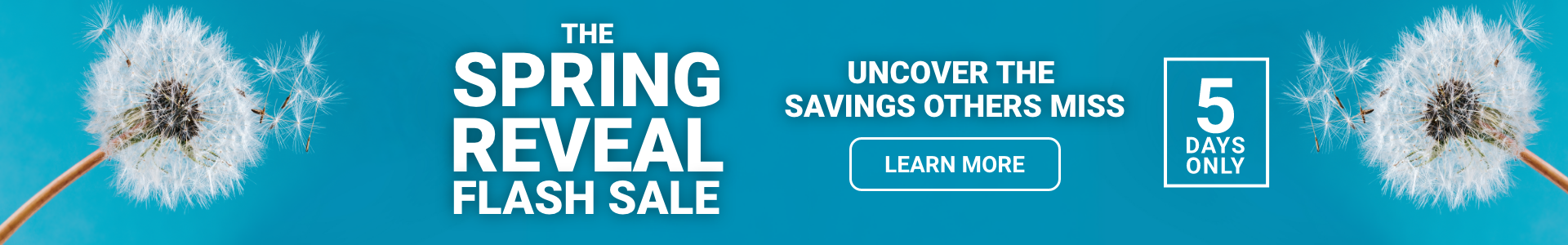 Learn more about The Spring Reveal Flash sale deals