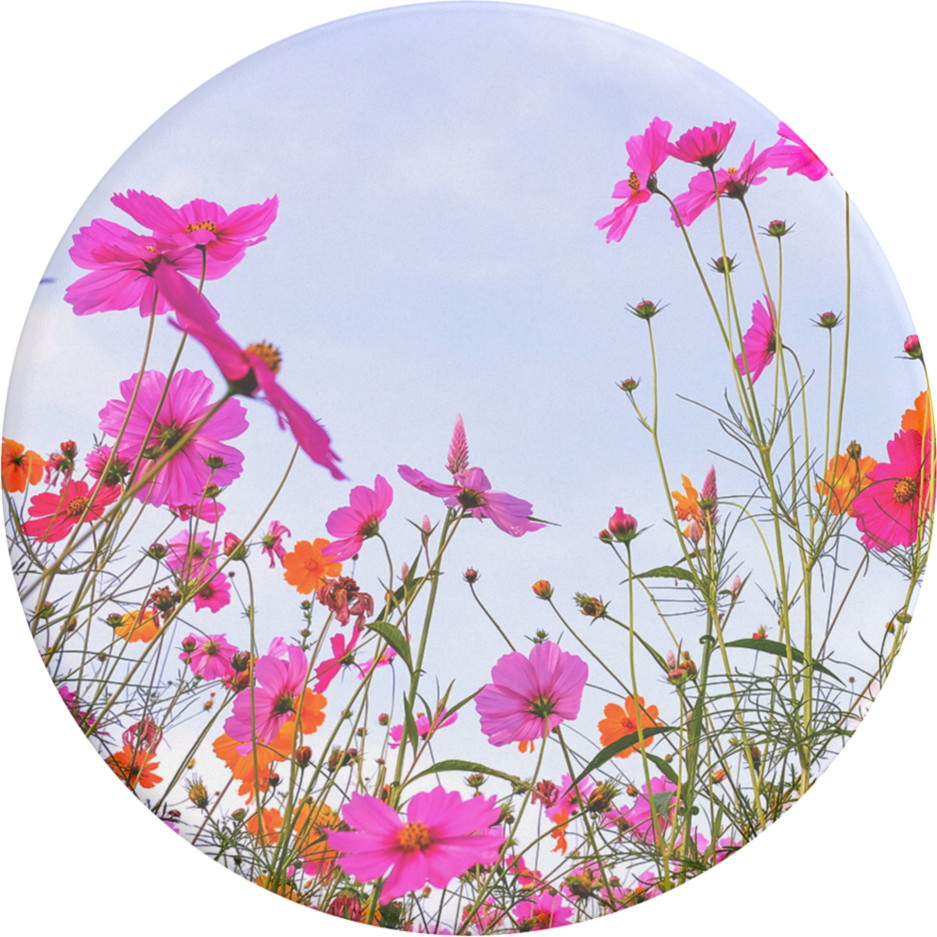 PopSockets - PopGrip - Fuschia Bloom