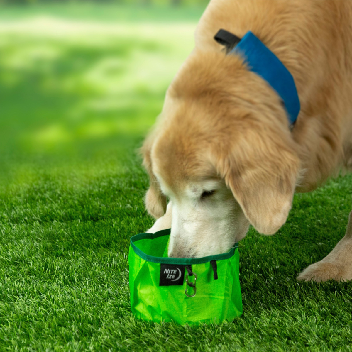 <p>The Nite Ize RadDog Collapsible Bowl is a portable, folding dog bowl that holds up to 16 ounces, and packs down into a small pocket-sized package.</p>